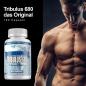 Preview: Pharmasports Tribulus 680